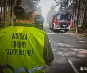 Ktoś podłożył ogień w Puszczy Solskiej? Przyczyną mogło być podpalenie
