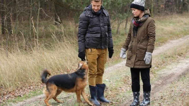 M jak miłość odc. 1204. Paweł (Rafał Mroczek), pies Kminek (Lizak), Ala (Olga Frycz)