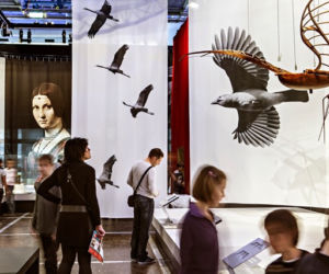 To fragmenty wystawy Leonardo da Vinci - Energia Umysłu