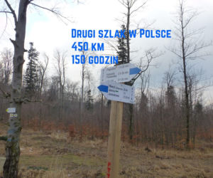 Niebieskie Wyzwanie
