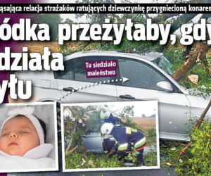Jagódka  przeżyłaby, gdyby siedziała z tyłu