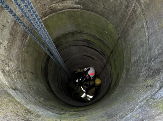 Mruczek wpadł do starej studni. Rozpaczliwym miauczeniem wołał pomocy