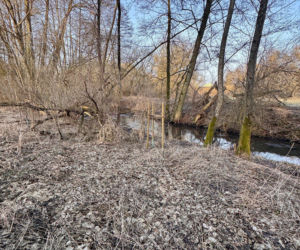 Tragedia w Cierpicach pod Toruniem. Ciało mężczyzny leżało w rzece