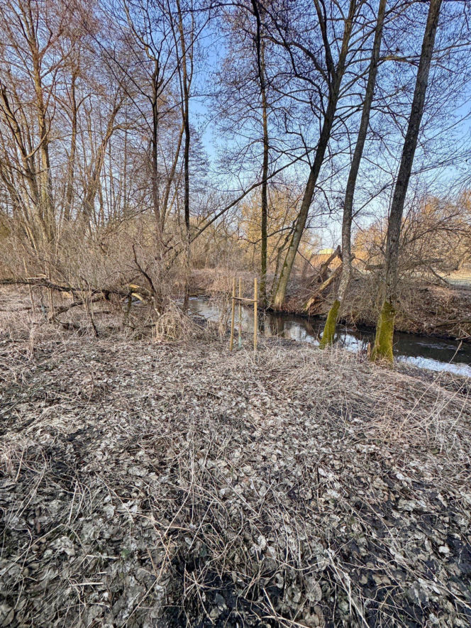 Tragedia w Cierpicach pod Toruniem. Ciało mężczyzny leżało w rzece