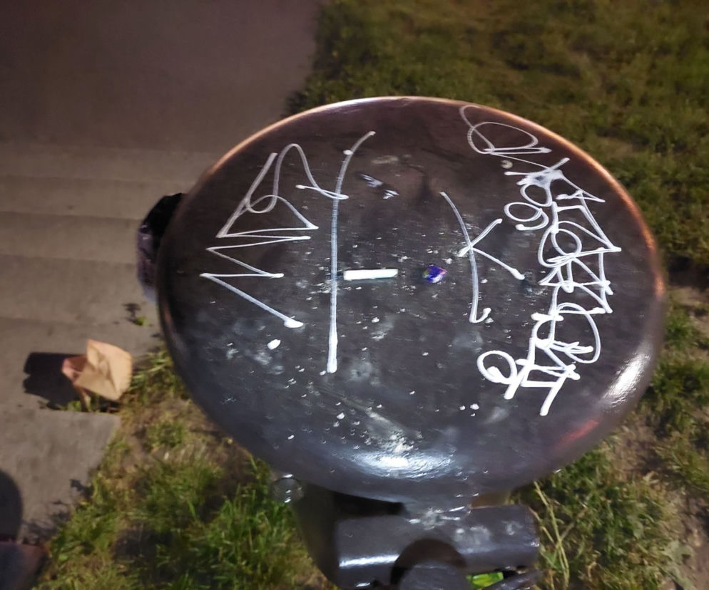 Miłośnicy narkotyków wpadli przez bazgroły. Mieli grzybki, LSD i woreczek z białym proszkiem