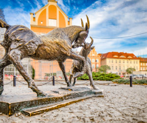 Nowa pensja minimalna 2021