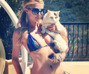 paris hilton