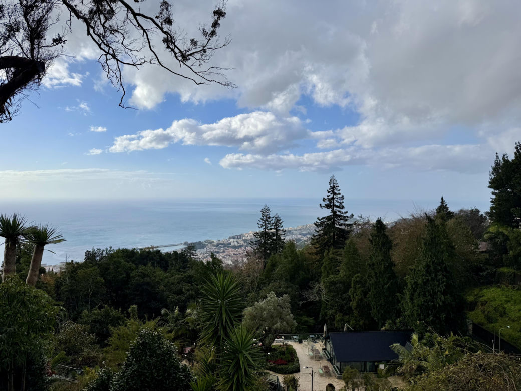 Jardim Botânico da Madeira (Ogród Botaniczny w Funchal)