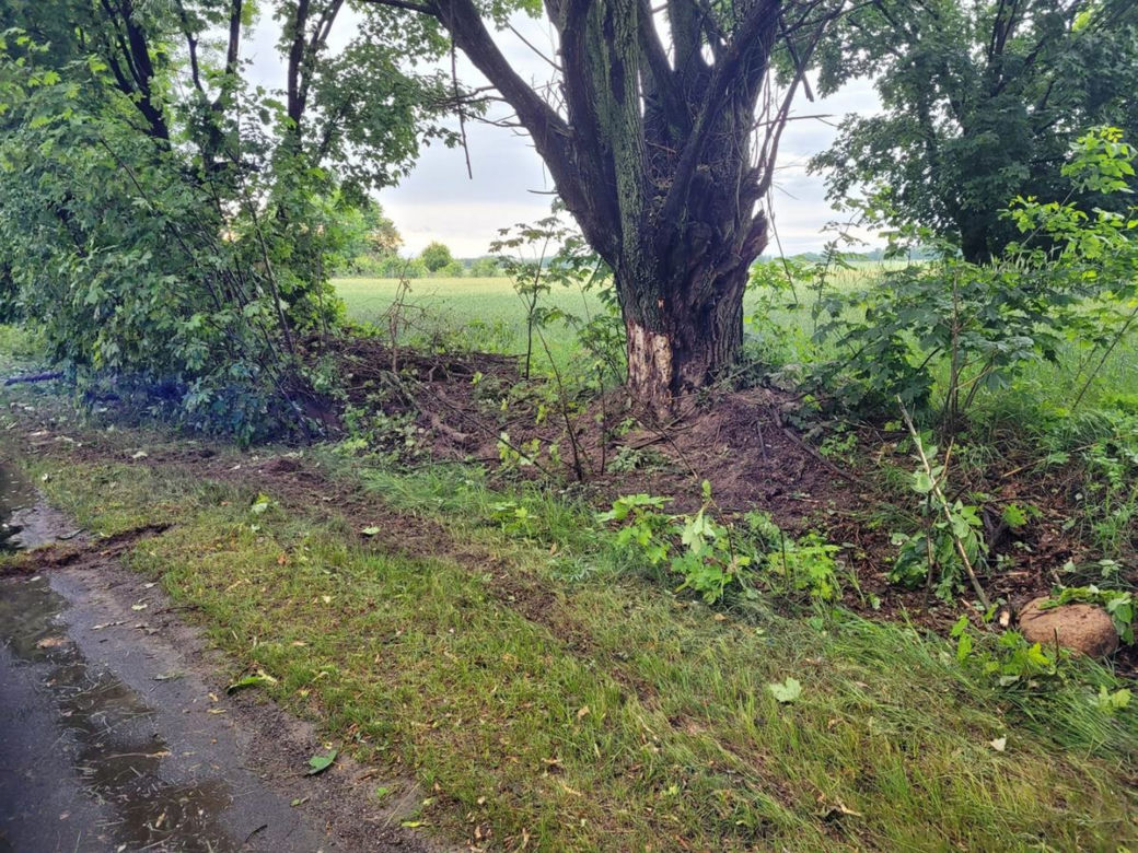Potworny wypadek pod Wyszkowem. Rąbnął busem w drzewo. Z auta aż wypadł silnik!