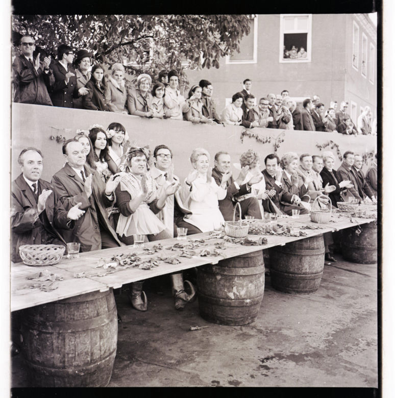Winobranie w Zielonej Górze w latach 1963-1973. Oto jak bawiono się podczas największego Święta Wina w Polsce
