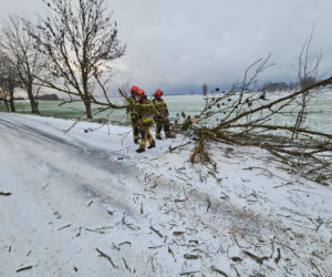 Wichura zniszczyła zabytkową kapliczkę przy sanktuarium