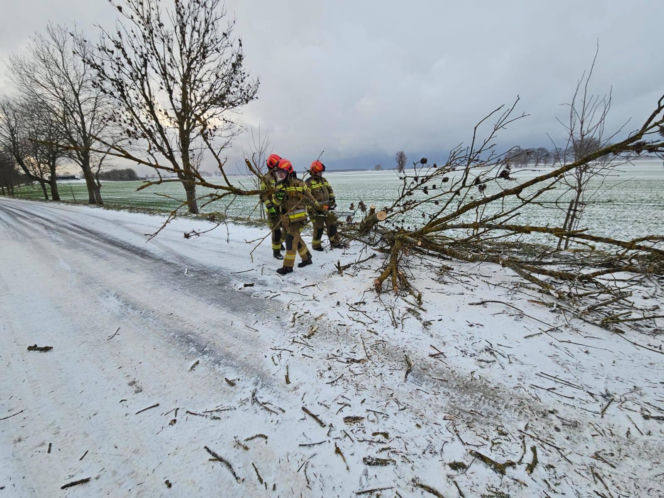 Wichura zniszczyła zabytkową kapliczkę przy sanktuarium
