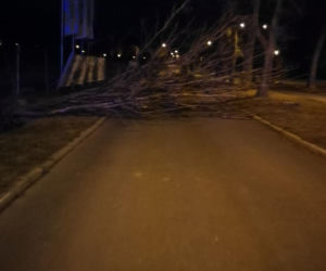 Wichury na Dolnym Śląsku