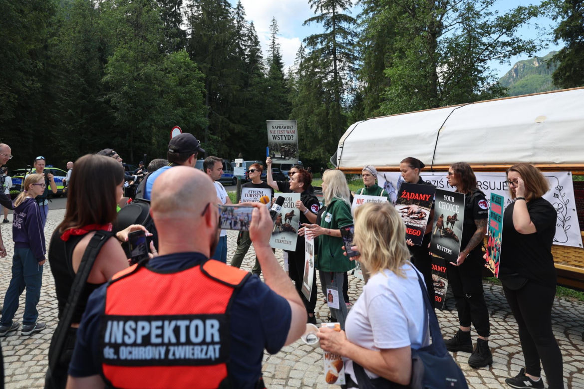 Protest przeciw przewozom konnym do Morskiego Oka