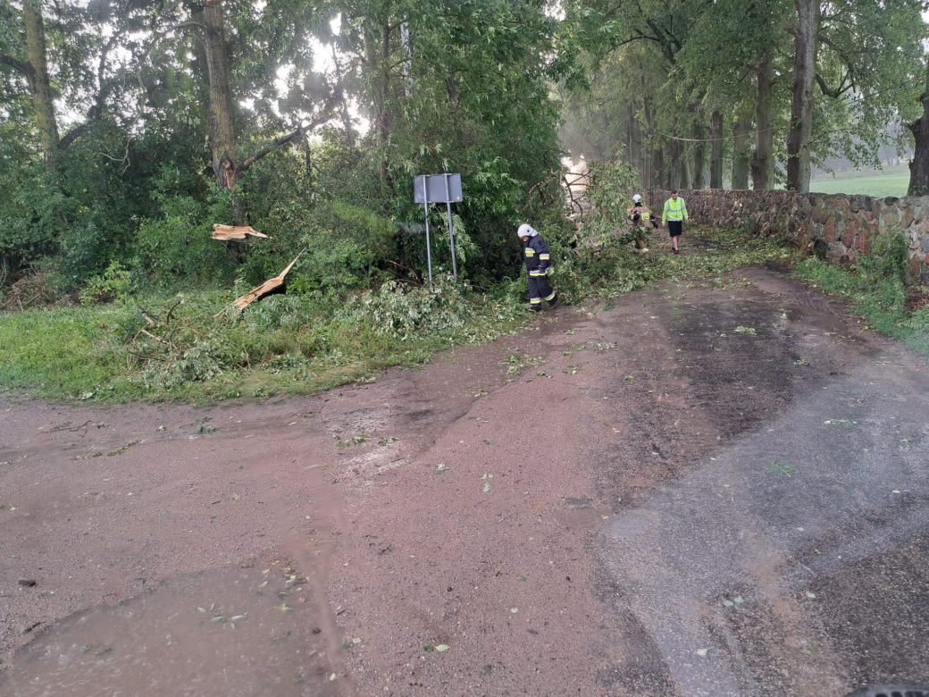 Podlaskie. Ponad 200 niedzielnych interwencji strażaków w związku z silnym wiatrem i burzami