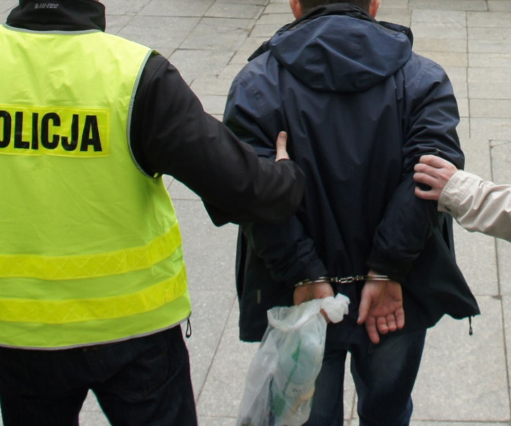zatrzymanie, policja