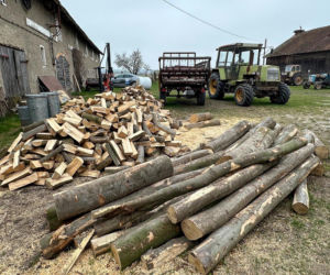 Czy znany zaklinacz byków straci swoje ranczo?