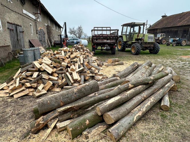 Czy znany "zaklinacz byków" straci swoje ranczo?