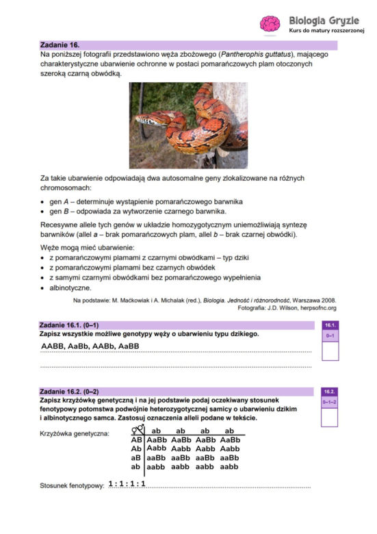 Odpowiedzi matura próbna biologia rozszerzona 2024