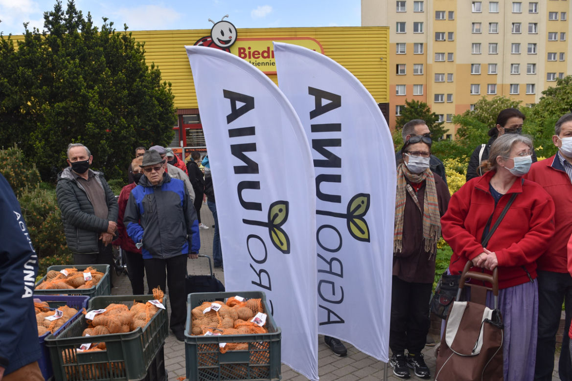 Nietypowy protest Agrounii. Rolnicy rozdawali ziemniaki w Toruniu