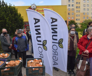 Nietypowy protest Agrounii. Rolnicy rozdawali ziemniaki w Toruniu