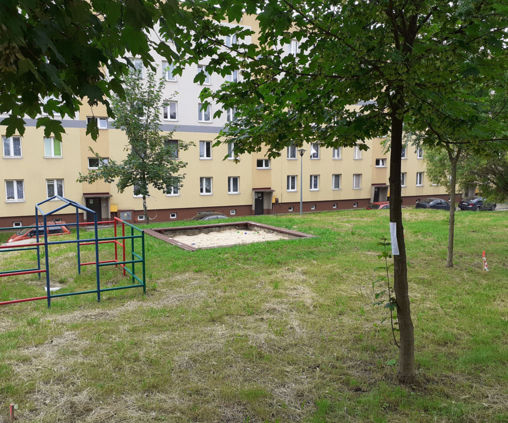 Tu powstanie siłownia plenerowa