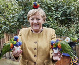 Merkel obsiadły papugi