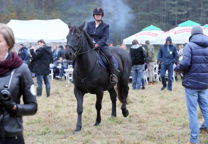 Kluzik Rostkowska ujeżdżała konia