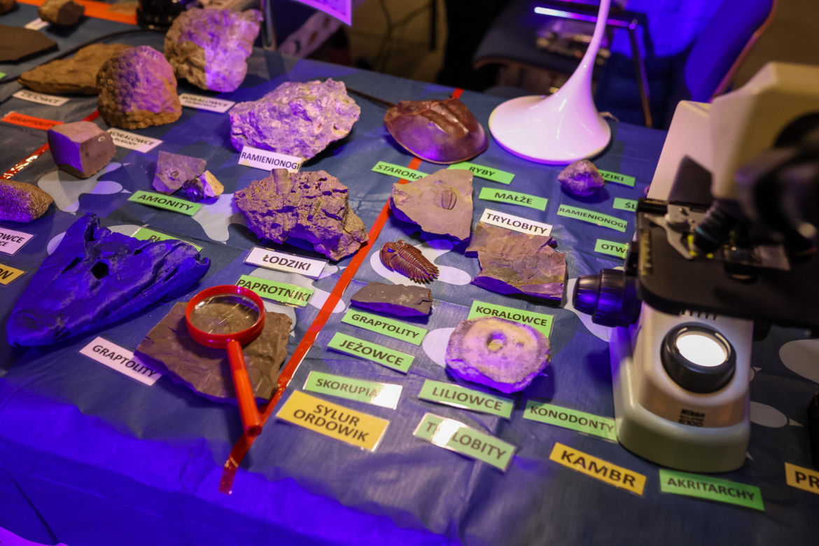 Śląski Festiwal Nauki w Katowicach