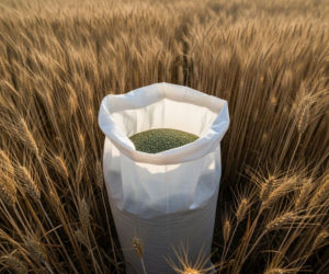 Coraz więcej pszenicy za tonę nawozu