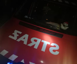 Płock. Zdemolował ogrodzenie i zatrzymał się tuż przed domem! Poszukuje go policja! [ZDJĘCIA]