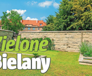 Zielone Bielany
