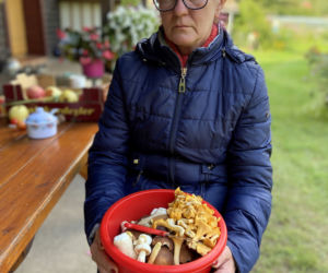 77-letnia Zofia Kottas poszła do lasu na grzyby i zaginęła