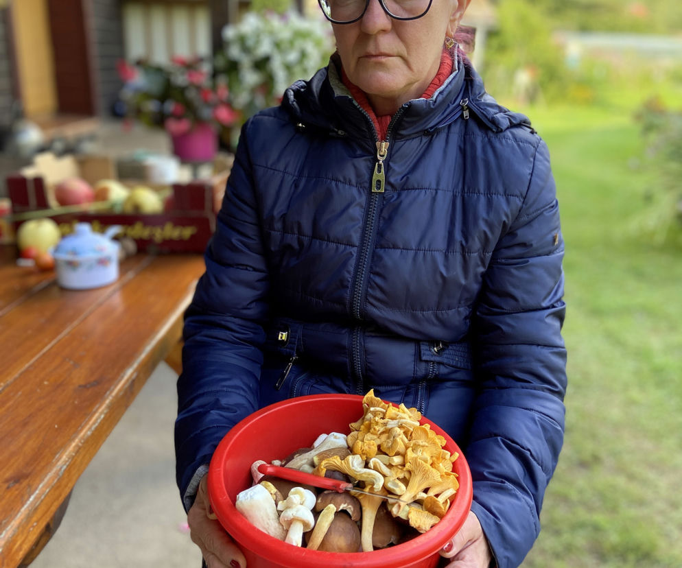 77-letnia Zofia Kottas poszła do lasu na grzyby i zaginęła