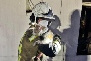 Dramatyczny pożar w Ujeździe. Strażacy uratowali z płomieni kota, psa i żółwia. Poszkodowani w pożarze zbierają na nowy start