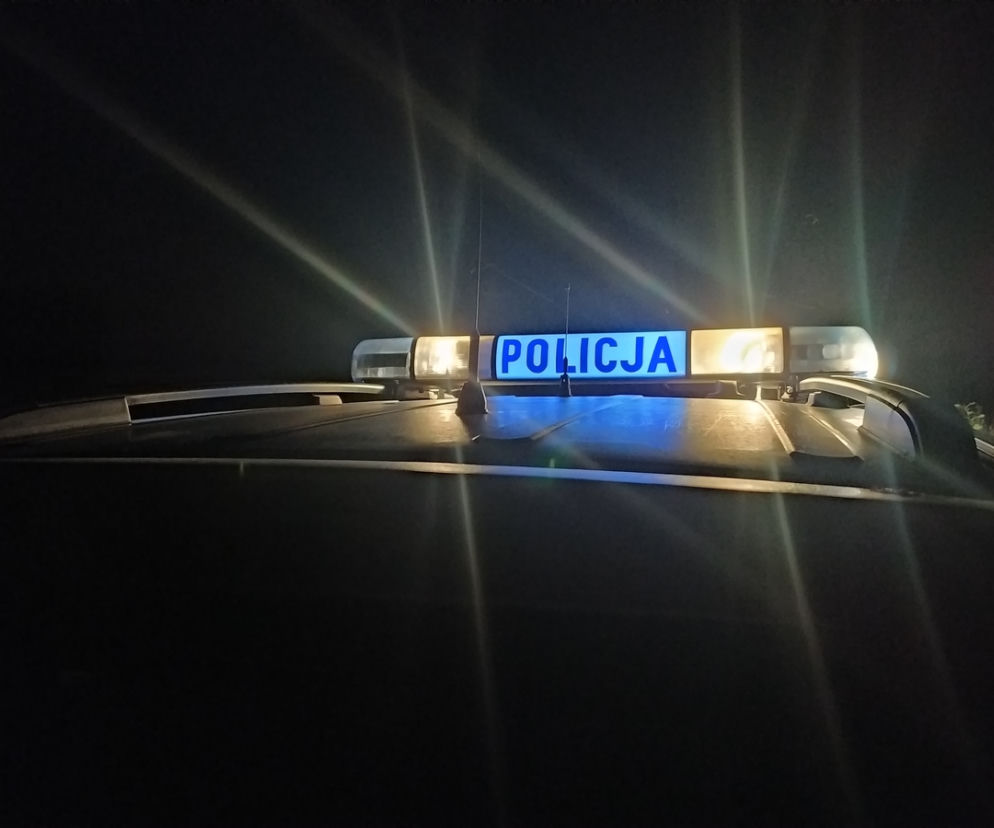 Przewoził nielegalnych migrantów z Indii. Wpadł w ręce policji