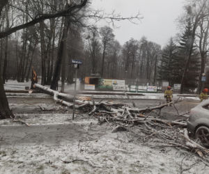 Potężna wichura przeszła przez Bydgoszcz [ZDJĘCIA]