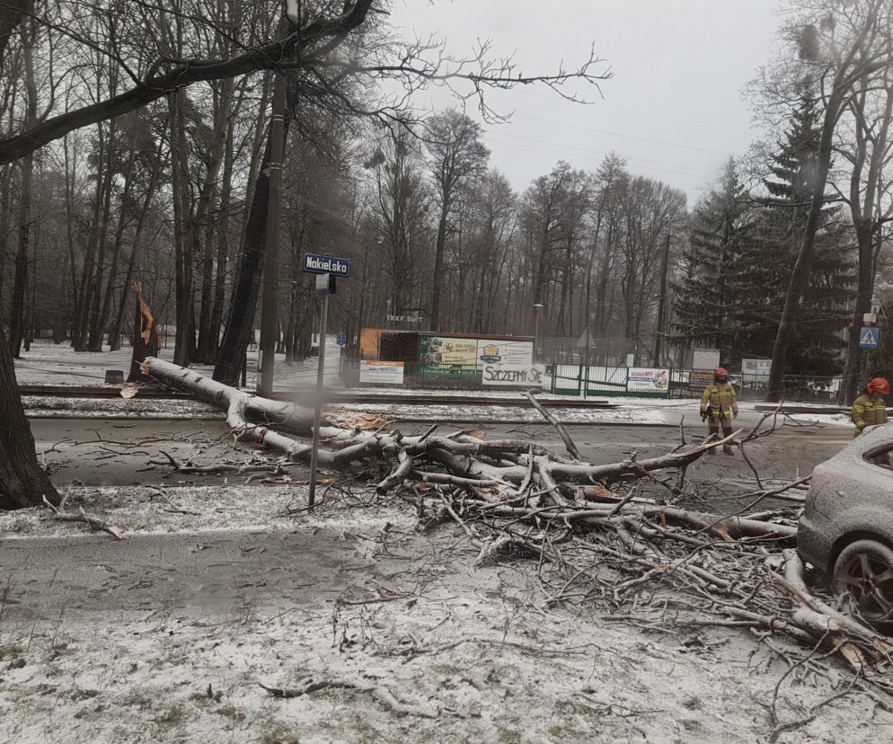 Potężna wichura przeszła przez Bydgoszcz [ZDJĘCIA]