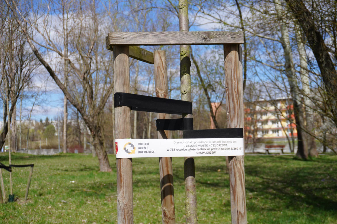 Wzgórze Karczówka w Kielcach i jego okolice