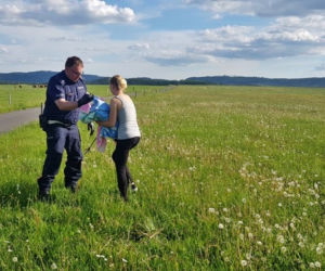 Ranny żuraw w Wałbrzychu