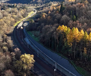 Nie tylko budują tory,  ale też sadzą drzewa. Zielono będzie przy nowej linii kolejowej Nowy Sącz  -  Chabówka. 