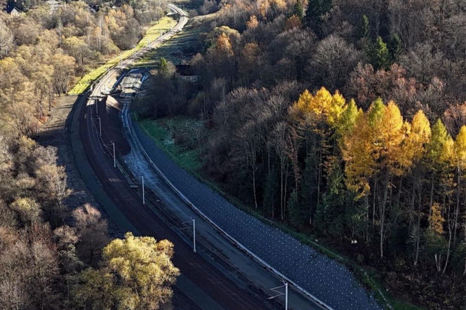 Nie tylko budują tory,  ale też sadzą drzewa. Zielono będzie przy nowej linii kolejowej Nowy Sącz  -  Chabówka.