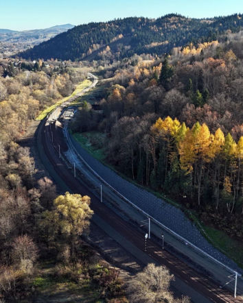 Nie tylko budują tory,  ale też sadzą drzewa. Zielono będzie przy nowej linii kolejowej Nowy Sącz  -  Chabówka. 