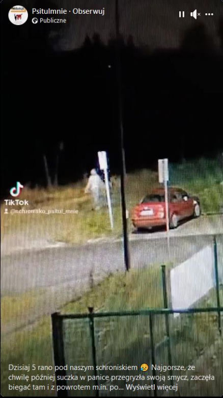 Przywiązał psa do słupa i zostawił na mrozie. To, co zrobiła przerażona suczka, łamie serce