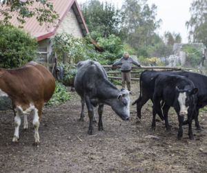 Rolnicy. Podlasie - sezon 3, odcinek 2. Nowe odcinki, nowi bohaterowie [ZDJĘCIA]