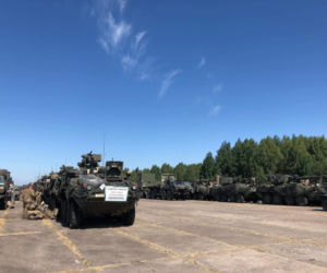 Wozy Stryker w Polsce