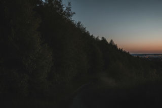 Ciało zaginionej 39-latki znaleziono w lesie. Co doprowadziło ją do Cierpic?