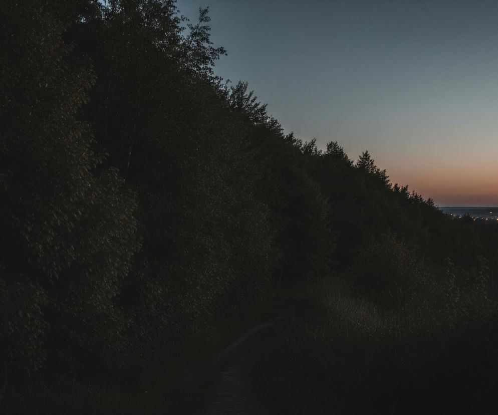 Główną część obrazu, po lewej stronie, zajmuje ciemny, gęsty las liściasty, którego korony drzew wyznaczają ukośną linię dzielącą kadr. Na pierwszym planie, w dolnej części obrazu, widoczna jest wąska, ciemna ścieżka wijąca się przez las. Po prawej stronie, nad lasem, rozciąga się niebo o zmieniającej się barwie od ciemnogranatowej u góry, poprzez szarobłękitną, aż po delikatny pomarańczowo-różowy odcień tuż nad horyzontem. W oddali, na horyzoncie, rozciąga się panorama miasta z licznymi, drobnymi, świecącymi światłami, świadczącymi o zbliżającym się zmierzchu lub nocy.