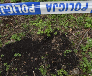 Przyjaciele strzelali do Kornelii, dusili ją i zakopali