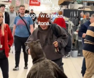 Friz przebrany za dzika